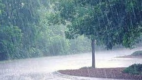 छत्तीसगढ़ में अब तक 113.5 मि.मी. औसत वर्षा दर्ज, GPM में सबसे ज्यादा…