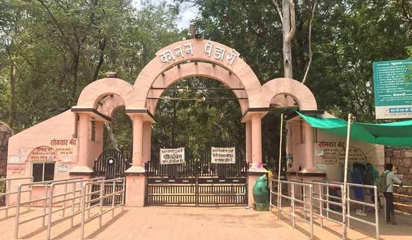 कानन पेंडारी जू से केज तोड़कर भागा भालू बड़ी मुश्किल से काबू आया…