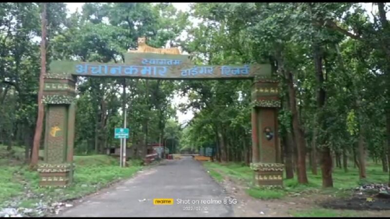 ATR में पुटु बीनने गया आदिवासी युवक बाघिन के हमले से घायल, इलाज जारी…
