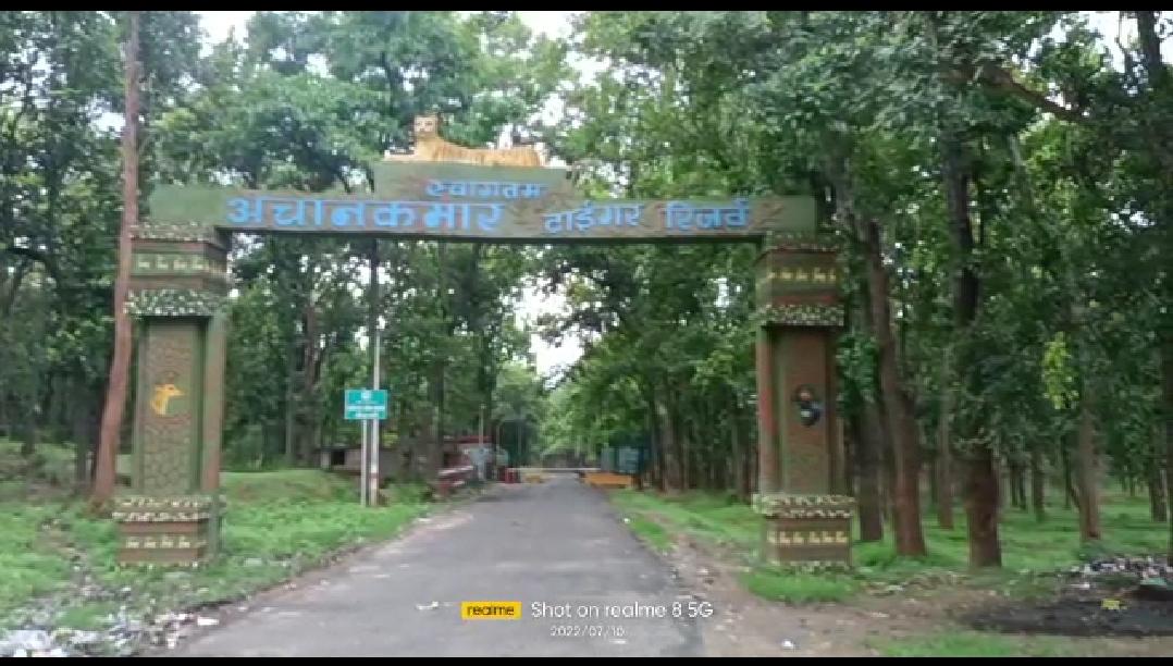 ATR में पुटु बीनने गया आदिवासी युवक बाघिन के हमले से घायल, इलाज जारी…