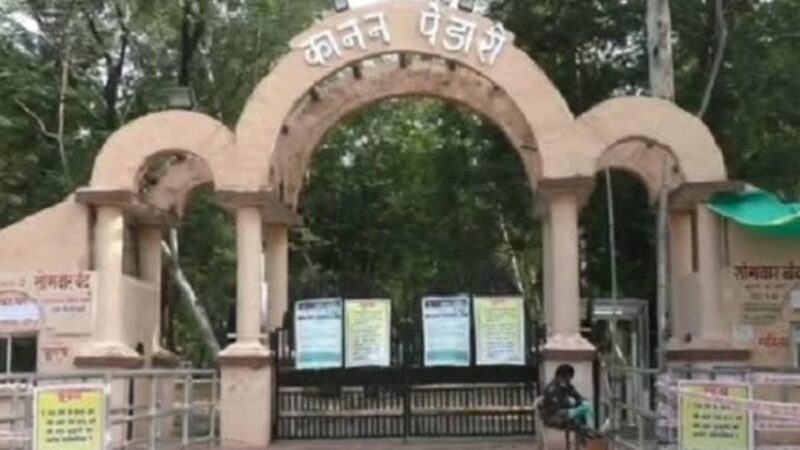 कानन जू में बायसन का बच्चा बीमारी से चल बसा…