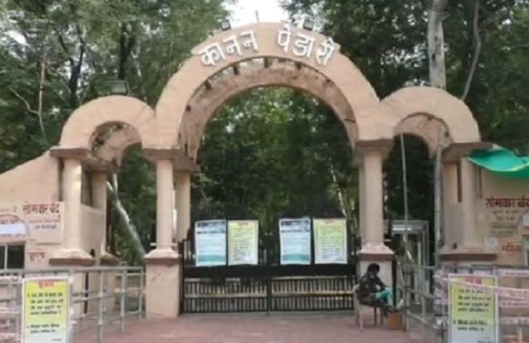 कानन जू में बायसन का बच्चा बीमारी से चल बसा…