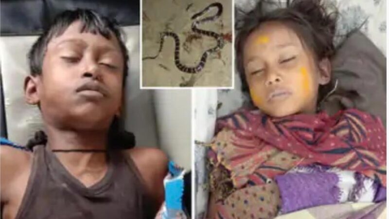 GPM : करैत सांप के डसने से सगे भाई-बहन की मौत…
