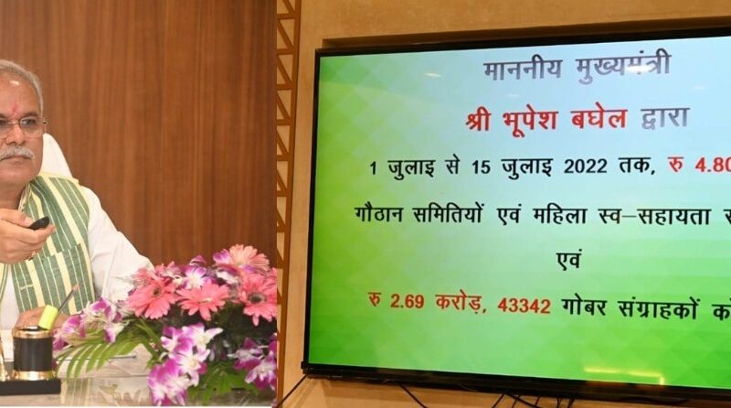 छत्तीसगढ़ में हरेली से गौ-मूत्र खरीदी की शुरूआत : मुख्यमंत्री बघेल