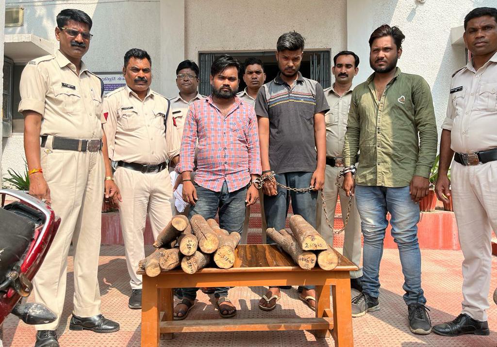 एक-दो नहीं, तीन ‘पुष्पा’ चन्दन लकड़ी की तस्करी करते गिरफ्तार, म.प्र. के अनूपपुर के हैं, बिलासपुर में पकड़े गए…