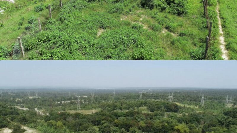 अंतरराष्ट्रीय वन दिवस : वेदांता एल्यूमिनियम अपने प्रचालन क्षेत्रों में करेगा बड़े पैमाने पर वृक्षारोपण….