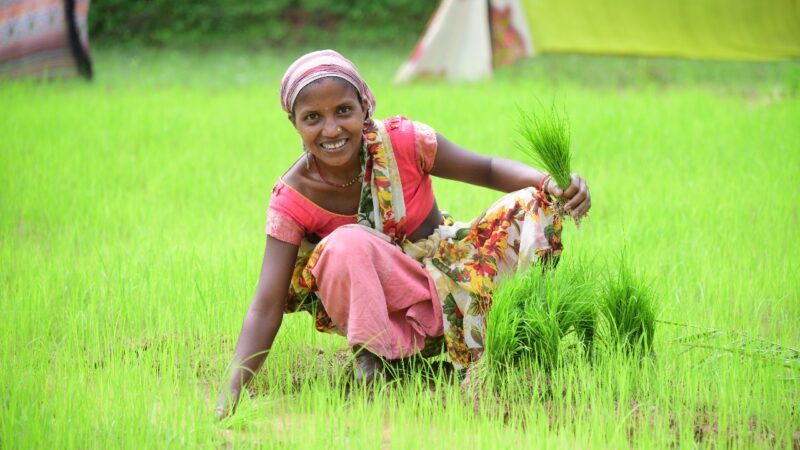 “बालको” की पहल से कृषि में आया बदलाव ; पैदावार में वृद्धि और लागत में आयेगी कमी…