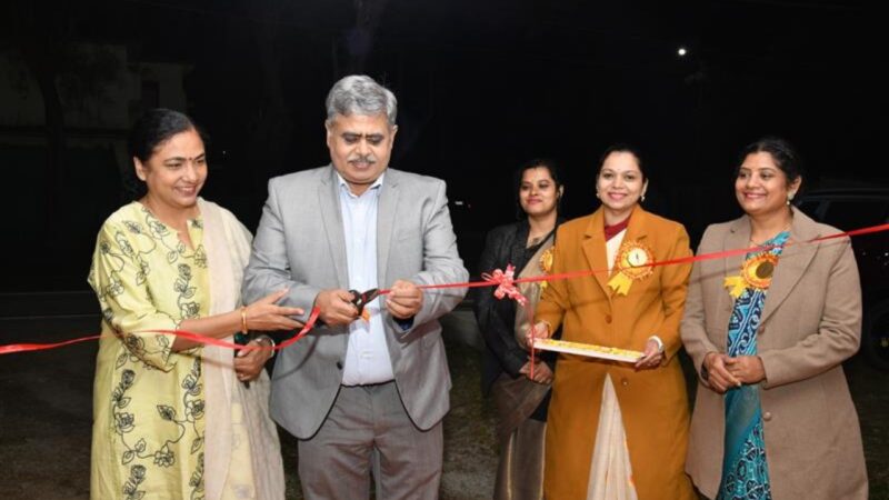 “बालको” लेडीज़ क्लब ने वार्षिक उत्सव मेला का किया भव्य आयोजन…