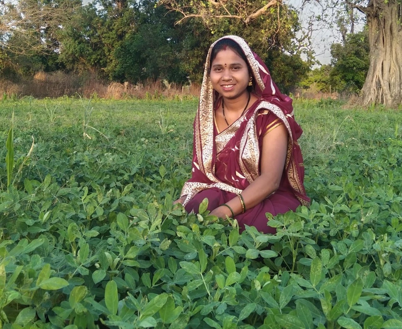 “बालको” की पहल से मूंगफली बनी किसानों की आय बढ़ाने का सशक्त माध्यम…