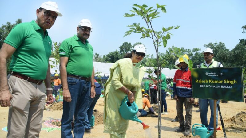 हर पौधा बनेगा एक स्मृति, हर वृक्ष रचेगा हरित विरासत की नई कहानी : सीईओ राजेश कुमार सिंह